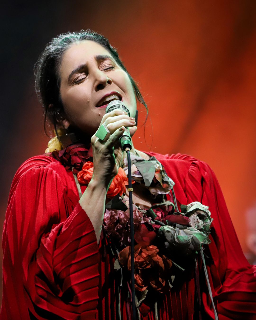 Cantora Mônica Salmaso. Foto de Aline Santos
